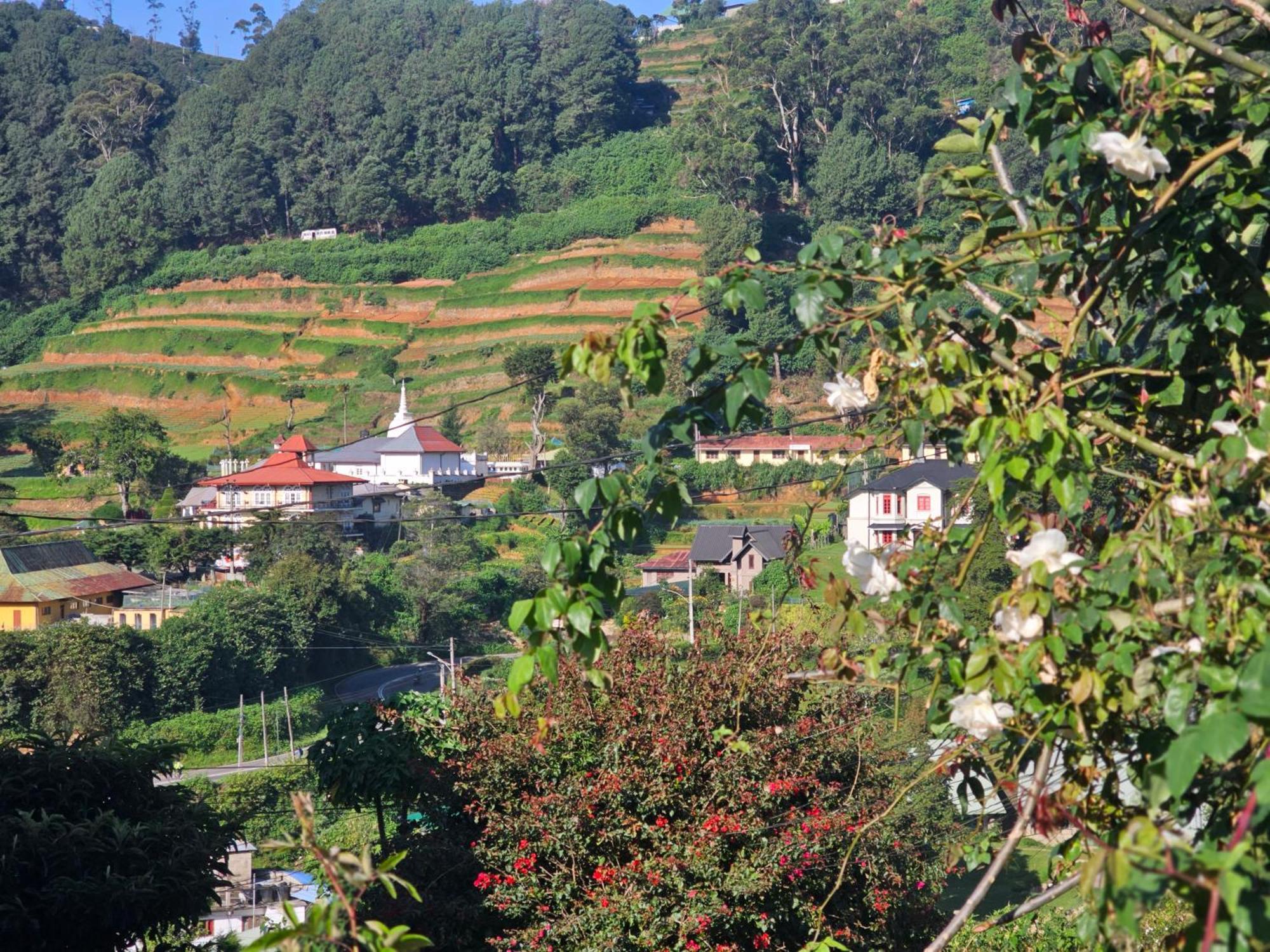 Auberge de jeunesse Haven Backpackers à Nuwara Eliya Extérieur photo