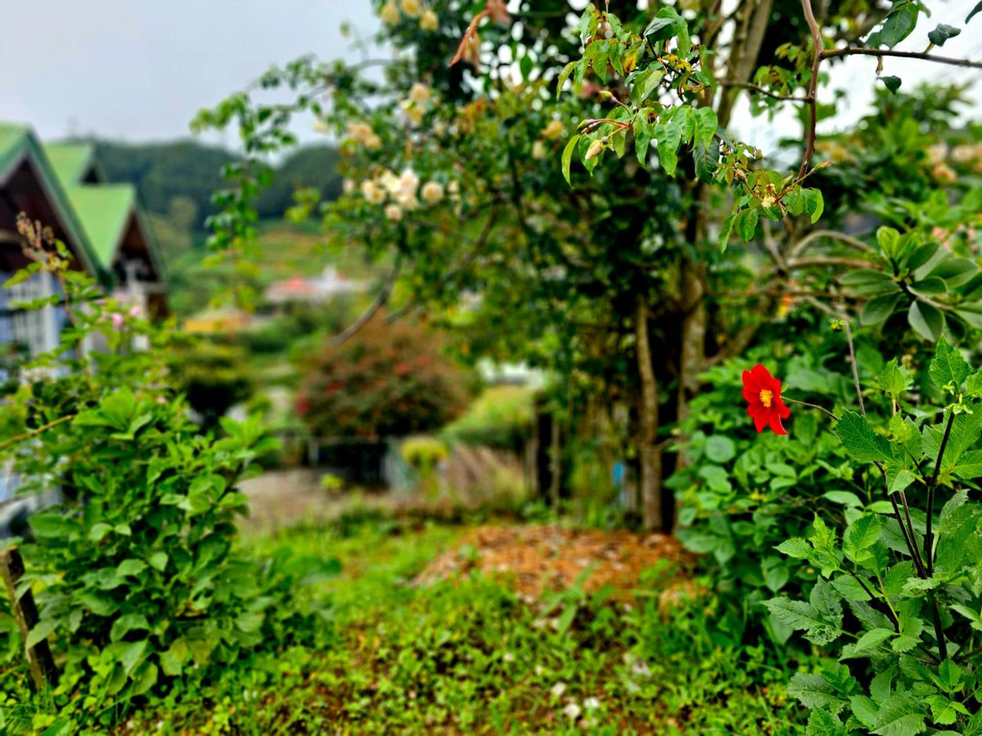 Auberge de jeunesse Haven Backpackers à Nuwara Eliya Extérieur photo