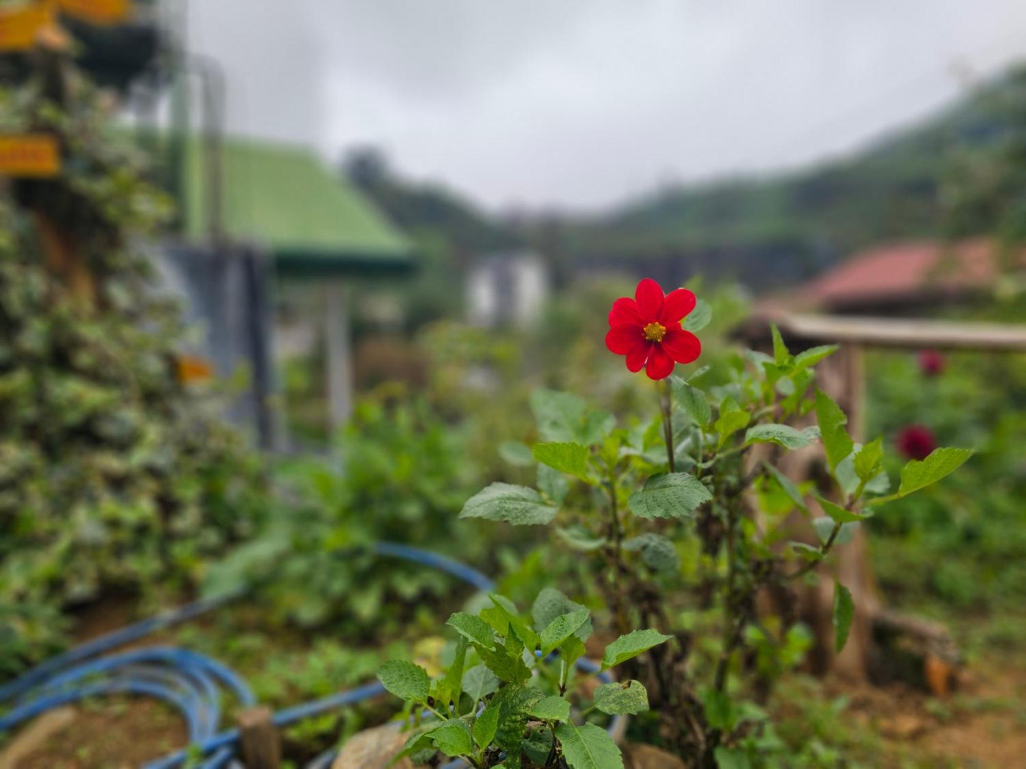 Auberge de jeunesse Haven Backpackers à Nuwara Eliya Extérieur photo