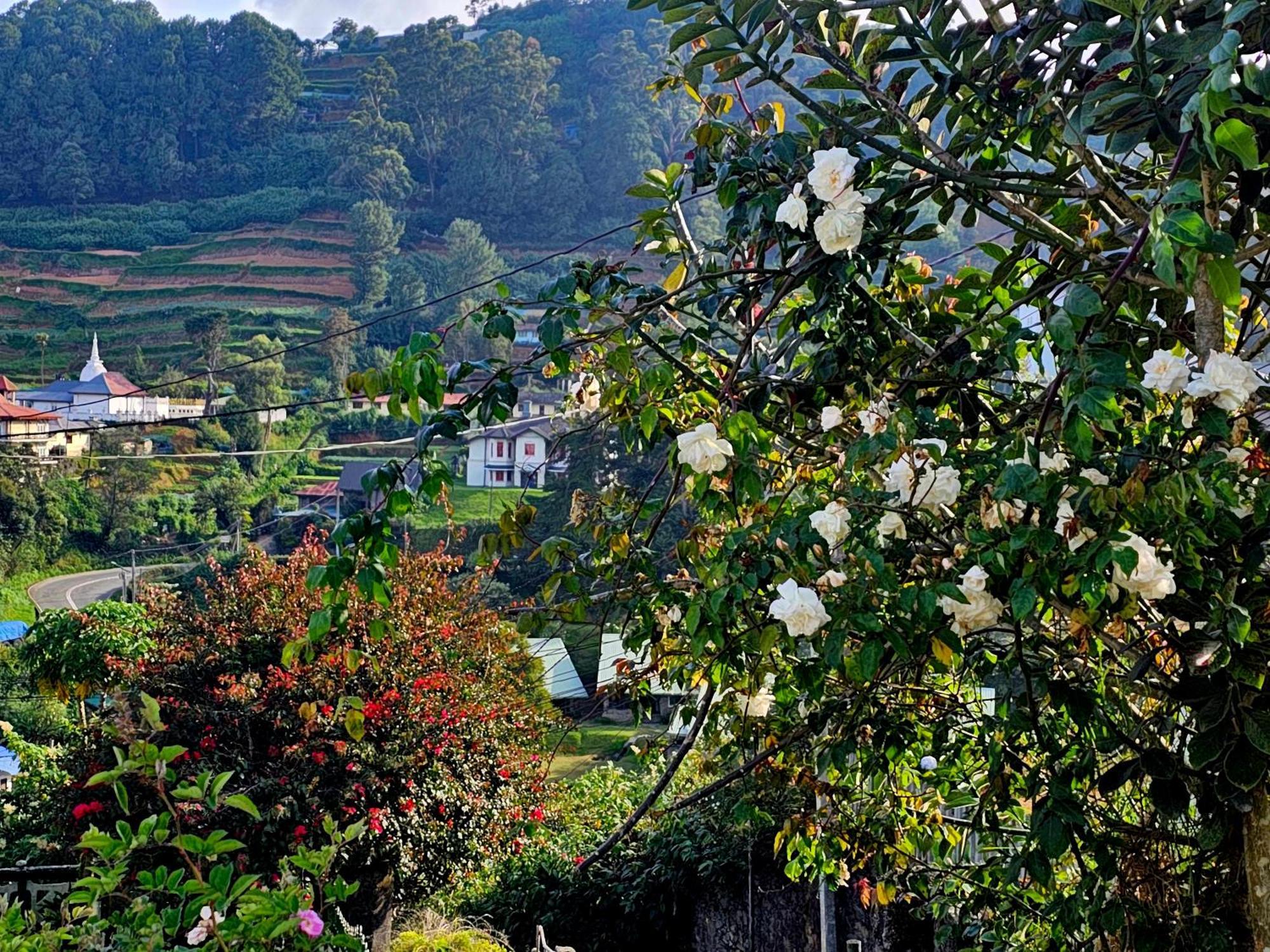 Auberge de jeunesse Haven Backpackers à Nuwara Eliya Extérieur photo